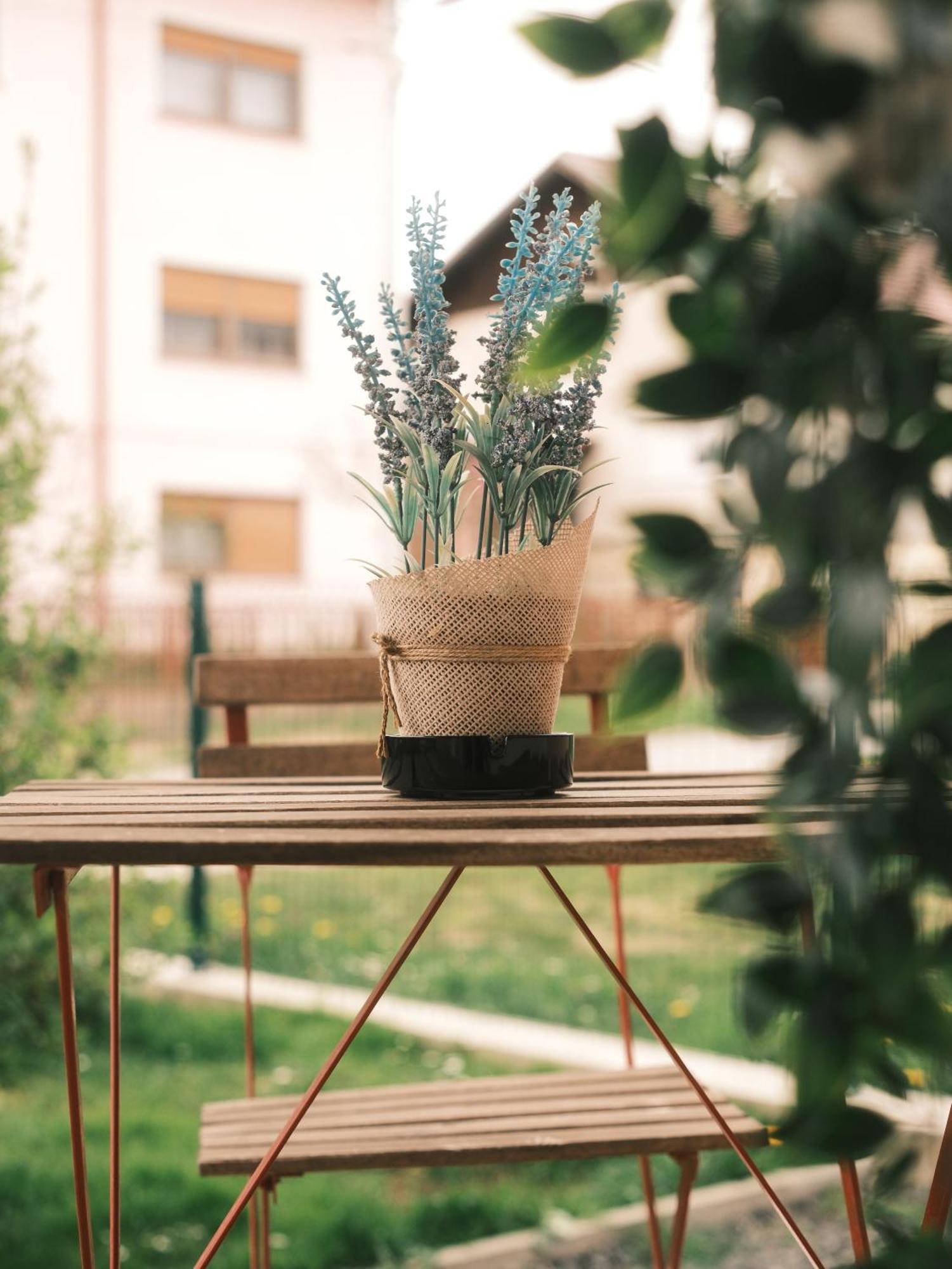 Apartmani Venium Križevci エクステリア 写真