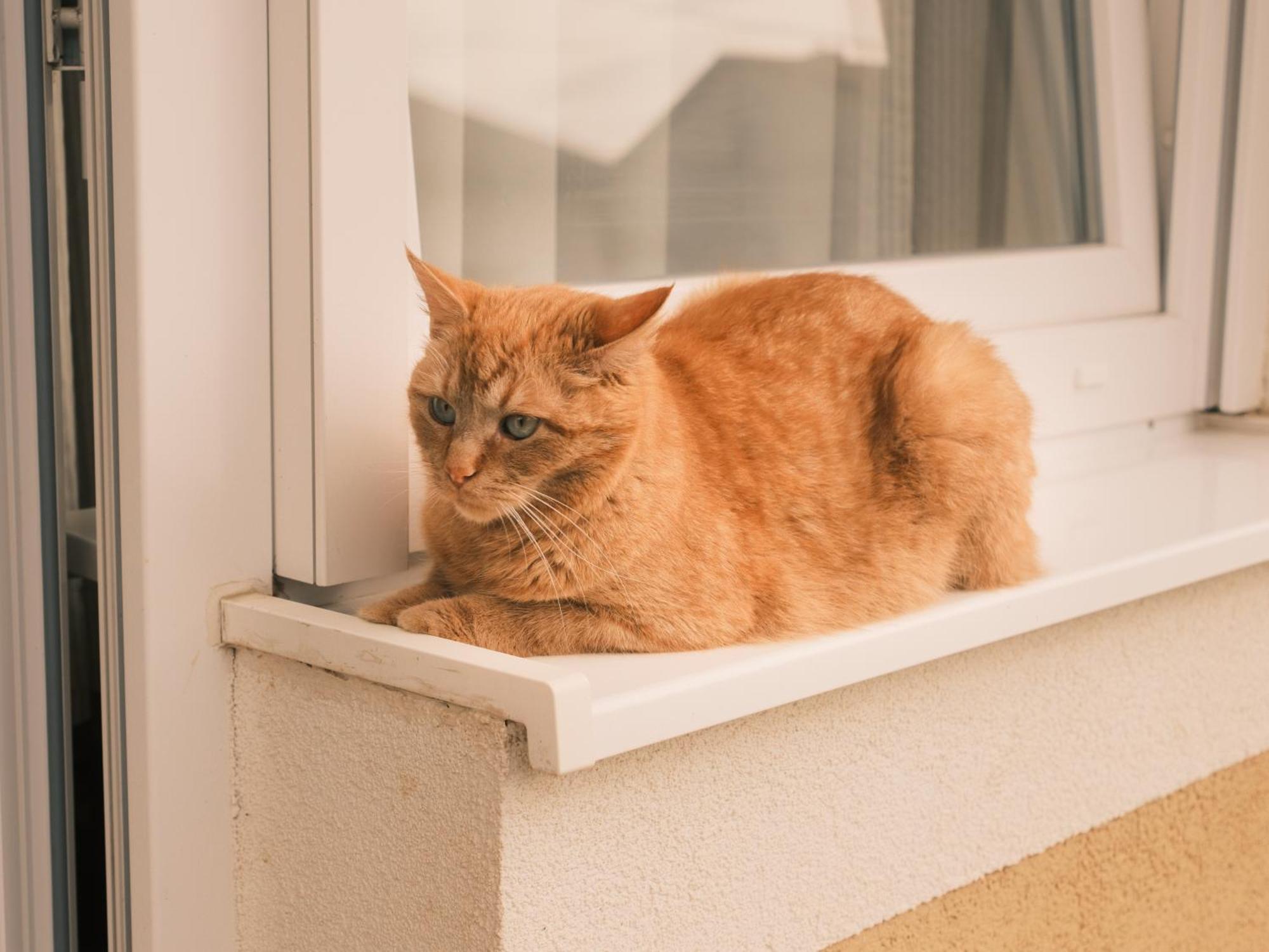 Apartmani Venium Križevci エクステリア 写真