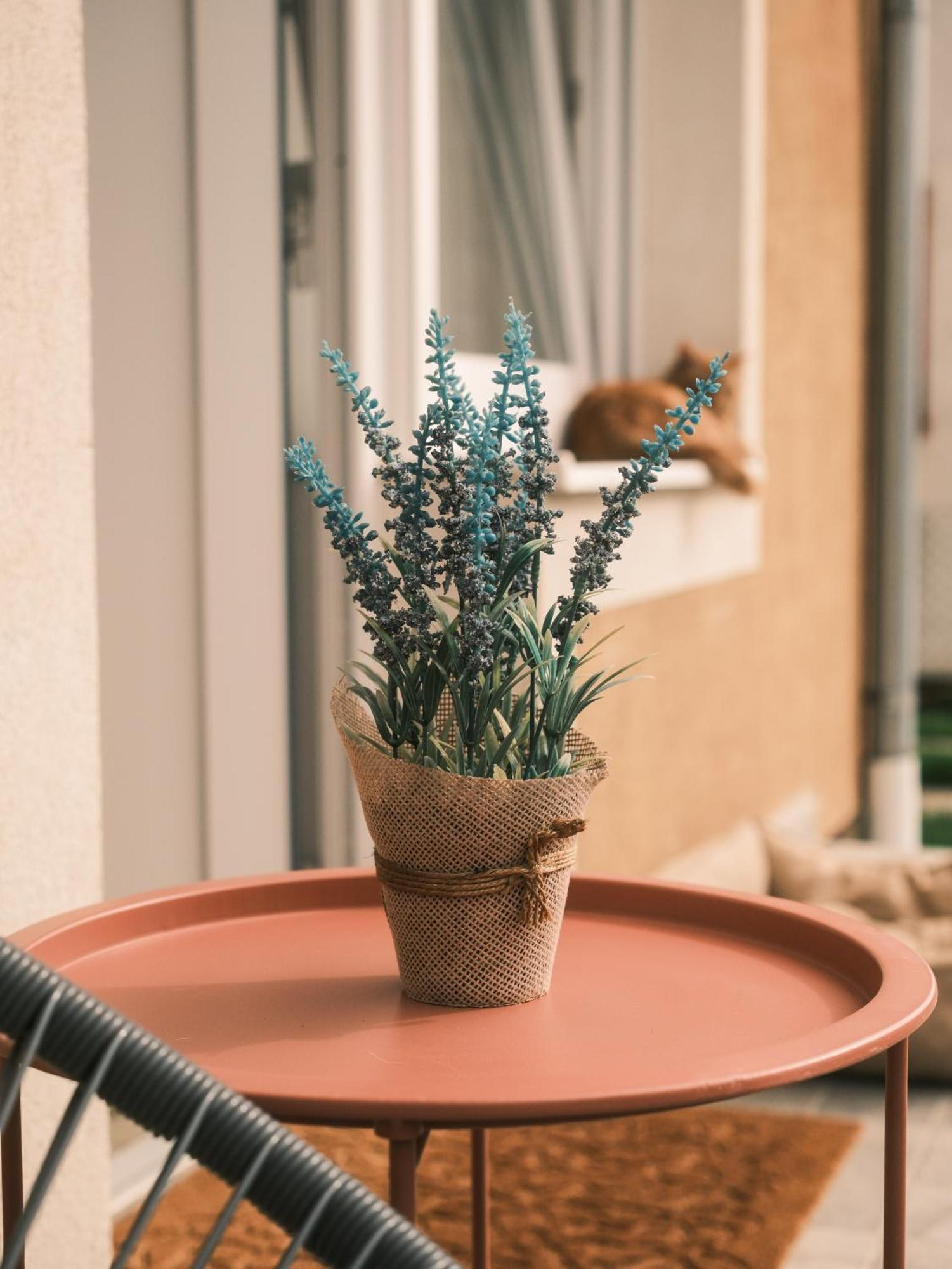 Apartmani Venium Križevci エクステリア 写真